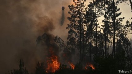 Из-за лесных пожаров в Канаде эвакуированы 8 тысяч человек