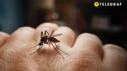 Комарі більше не будуть вам набридати