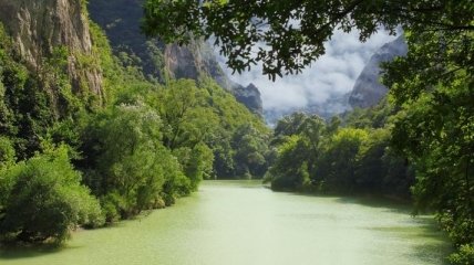 Амазония "рассказала" ученым о всех климатических изменениях