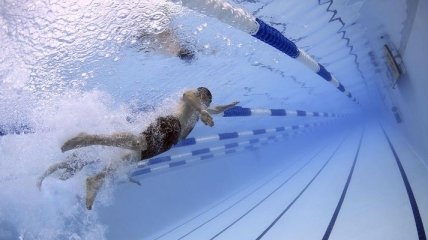 FINA: Чемпионат мира-2020 по плаванию в 25-метровом бассейне перенесен