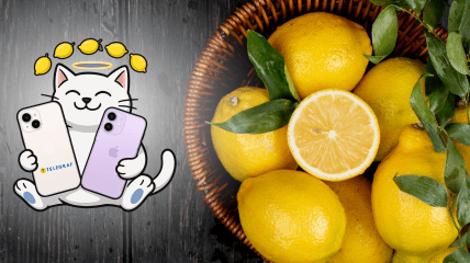 iPhone 17 и iPhone Air от "Монобанка" - в чем у них разница