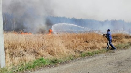 Десятки пожаров: спасатели продолжают ликвидацию возгораний в экосистемах Житомирской области
