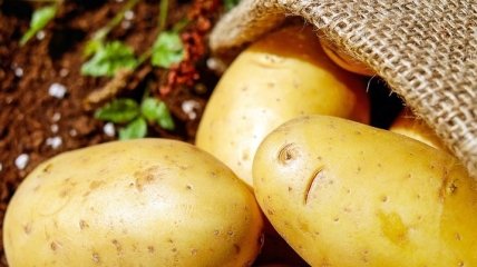 Частое употребление картофеля негативно влияет на состояние зубов