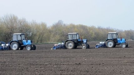 В Украине началась посевная-2013