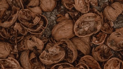 Горіхова шкаралупа — цінний продукт