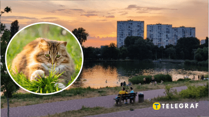 Погода в Україні 30-31 серпня