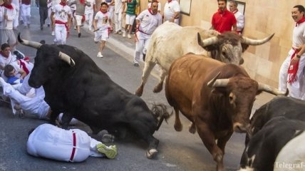 На субботнем забеге с быками в Испании госпитализировано 5 человек