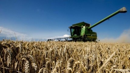 В Украине начали уборку ранних зерновых