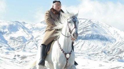 Россия поставила в Северную Корею двенадцать лошадей