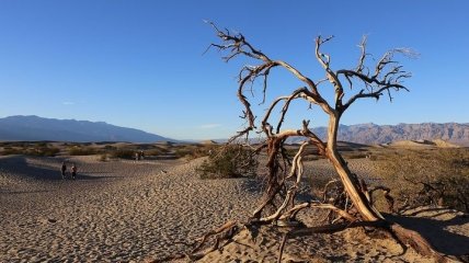Може бути ще вище: Долина Смерті в США прогрілася до 54,4 °C