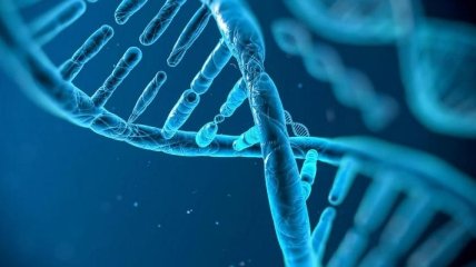 Ученые: коронавирус 20 тысяч лет назад мог отпечататься в ДНК