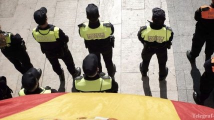 В Испании нашли 200 кг кокаина в ананасах