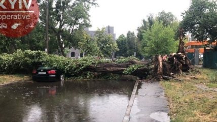 Сильна злива повалила дерева і підтопила вулиці Києва