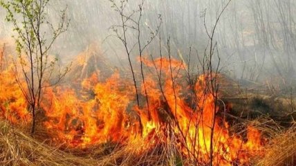 З 17 квітня набирає чинності закон про посилення відповідальності за спалення трави