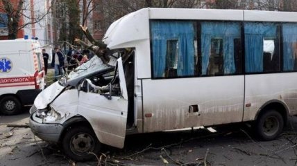 В Николаеве дерево упало на маршрутку, пострадали дети