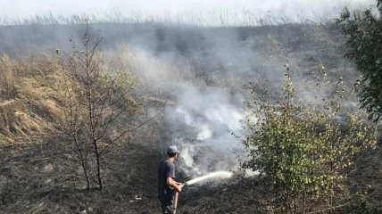 На Полтавщине загорелась сухая трава на отстойниках завода