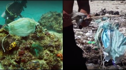 Последствия пандемии: в море нашли целый риф, покрытый одноразовыми масками (видео)