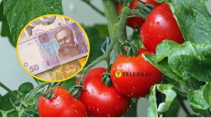 Они оказались самым дорогим продуктом сезона