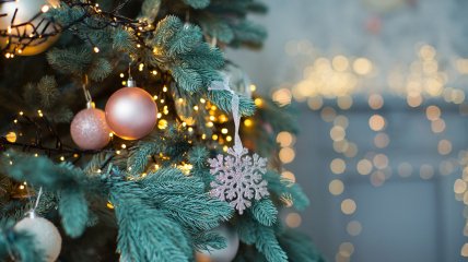 Установка новогодней елки – важная задача