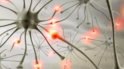 Ученые назвали источник сознания у человека