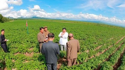 Картошка превыше всего: Ким Чен Ын инспектировал ферму, вместо встречи с Помпео