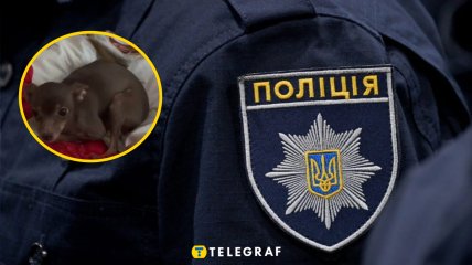 Поліція затримала чоловіка за жорстоке поводження з твариною