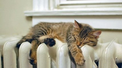 Лайфхак, как помыть батареи между секциями