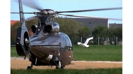 Во Франции лебедь проявляет симпатию к вертолету
