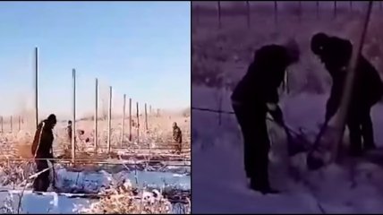 В России рабочих заставили полоть траву под снегом (видео)