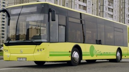 Египет аннулировал тендер на закупку у ЛАЗа 289 автобусов и объявил новый на 400 единиц