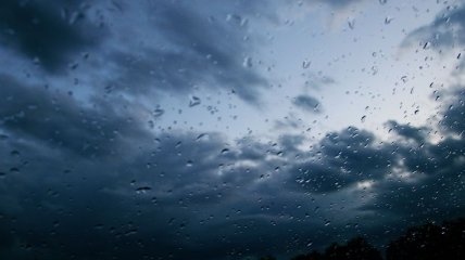 Прогноз погоды в Украине на 27 августа: почти везде пройдут дожди