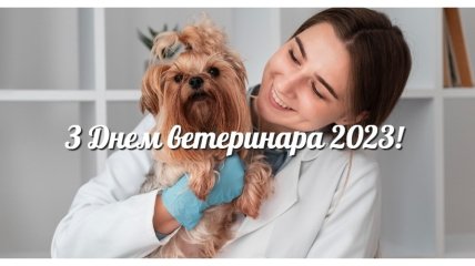 День ветеринара в 2023 году выпадает на 13 августа