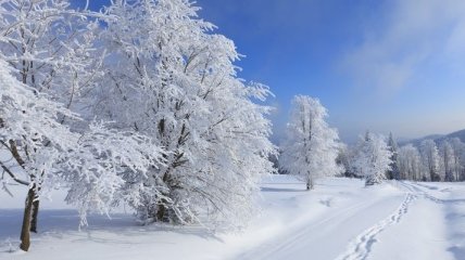 Завтра в Украине везде снегопады, местами вьюги