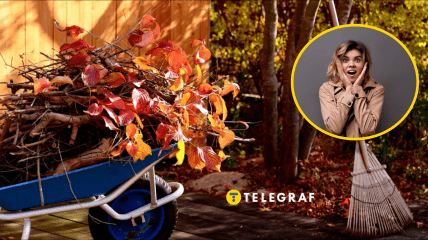 Осінь в саду