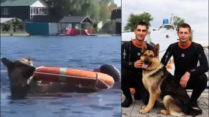 Собака-водолаз Найда - новый спасатель в Черкасской области