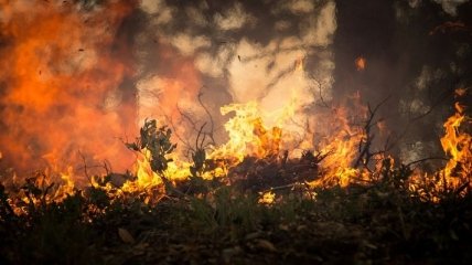 Італійців змушують не виходити з дому через пожежу у Фаенці