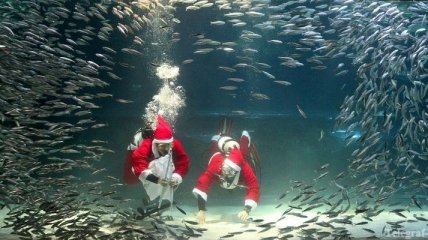 Рождество под водой