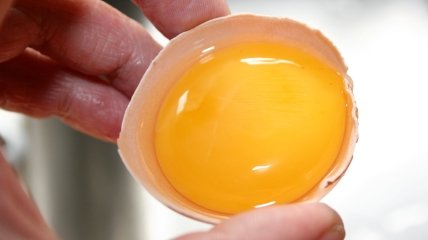 Сире яйце