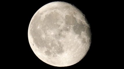 Полет к Луне: SpaceX назвала имя первого космического туриста