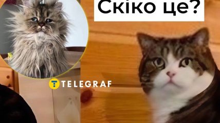 Прикольные картинки, которые зарядят позитивом на целый день