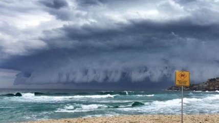 Сидней накрыло гигантское "облачное цунами"