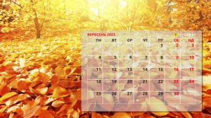 Первый месяц осени не принесет дополнительных выходных