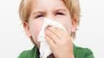 От аллергии чаще страдают первенцы