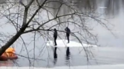 Кто с удочками, а кто в трусах: дрейфующие на льдинах "мамонтята" в Киеве развеселили сеть (видео)