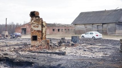 Глава Житомирской ОГА назвал одну из возможных причин масштабных пожаров