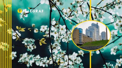 Весна и небоскребы