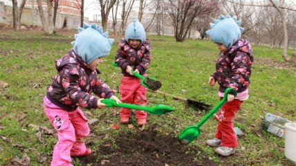 Рассказы папы тройняшек: как мы деревья сажали