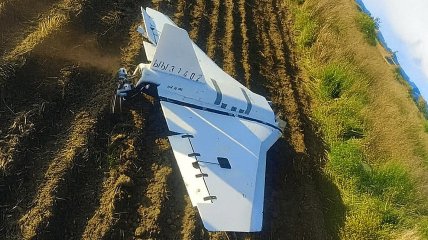 Российская "Герань" в Польше