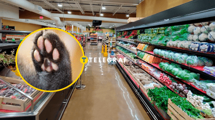 Супермаркет