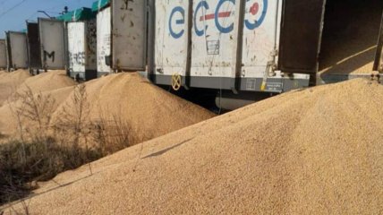 До 180 тонн зерна висипали зловмисники